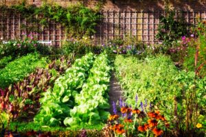 Secrets d un jardin magnifique et d un potager productif tout ce que vous devez savoir